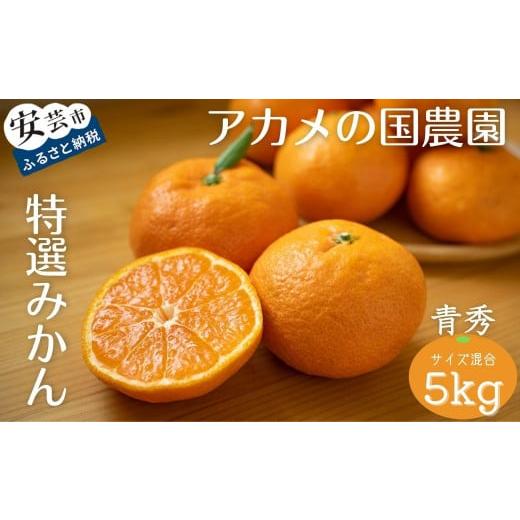 ふるさと納税 果物類 みかん 高知県 安芸市 2025年12月上旬〜発送 アカメの国農園特選みかん 青秀詰め合わせ 5kg / みかん 蜜柑 ミカン 柑橘 フルーツ 果物 …
