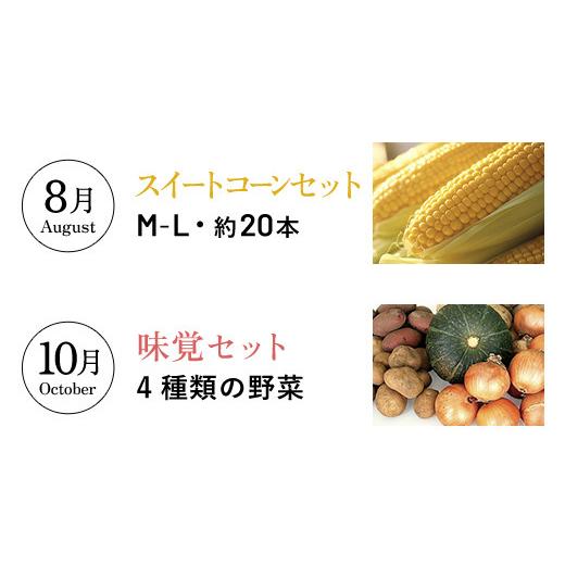 ふるさと納税 セット・詰合せ 北海道 大空町 大空町プレミアムセット全6回 ふるさと納税 人気 おすすめ ランキング チーズ 乳製品 カマンベール チェダー ゴー…_4