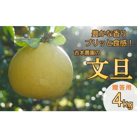 ふるさと納税 菓子 ゼリー 愛媛県 愛南町 先行予約 贈答用 土佐文旦 4kg 発送:3月上旬〜なくなり次第 文旦 柑橘 みかん 規格外 小玉 少量 大容量 キズ 傷 家…