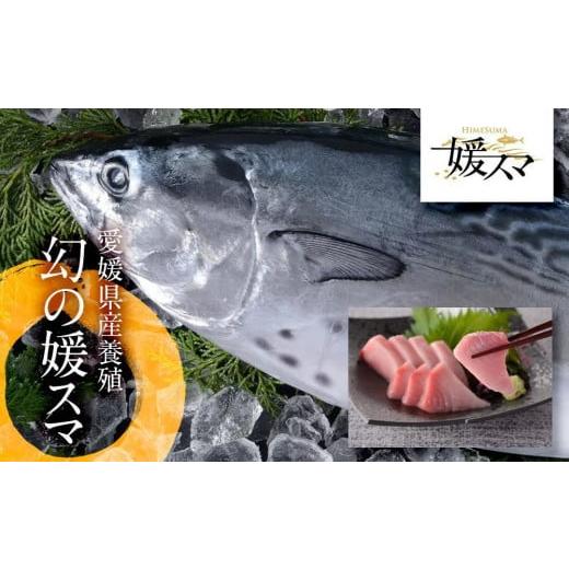 ふるさと納税 愛媛県 東温市 高級養殖魚・まるごと「媛スマ」 1.7〜1.8kg前後 媛スマ 8kg前後