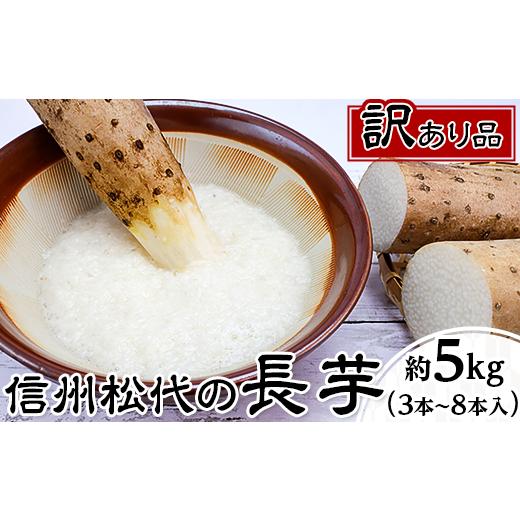 ふるさと納税 人参・大根・他根菜 長野県 長野市 松代産長芋約5kg 地域の生産者応援の品(訳あり品)