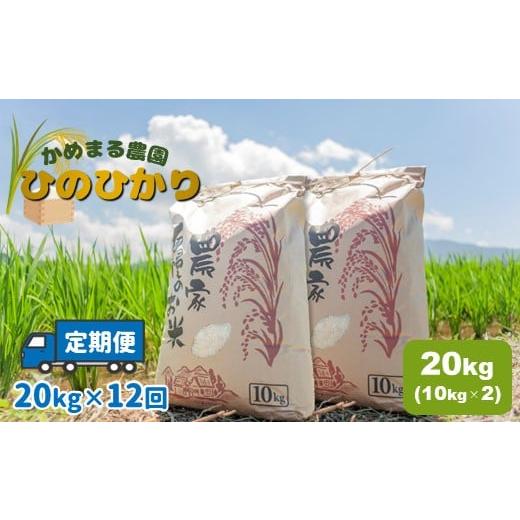 ふるさと納税 米 ヒノヒカリ 熊本県 玉名市 定期便12回 かめまる農園 「 ひのひかり 」 20kg × 12回 | 米 こめ お米 おこめ 白米 精米 ヒノヒカリ 熊本県 玉…