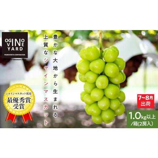 ふるさと納税 ぶどう マスカット 山梨県 南アルプス市 2026年先行予約_7月上旬〜発送 山梨県産早期出荷シャインマスカット 1.0kg以上/箱 2房入 ALPAK…