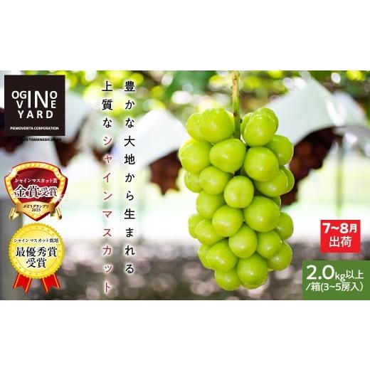 ふるさと納税 ぶどう マスカット 山梨県 南アルプス市  テレビで紹介されました 2026年先行予約_7月上旬〜発送 山梨県産早期出荷シャインマスカット ２．０ｋ…の画像