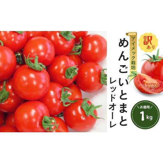 ふるさと納税 野菜類 トマト 福島県 田村市 訳あり めんごいとまと TYレッドオーレ お徳用 1kg めんごいとまとたむら 2026月1月発送 アイメック栽培 ミニトマ…