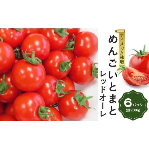 ふるさと納税 野菜類 トマト 福島県 田村市 めんごいとまと TYレッドオーレ 150g×6パック ( 計900g ) 2026年1月発送 めんごいとまとたむら アイメック栽培 ミ…