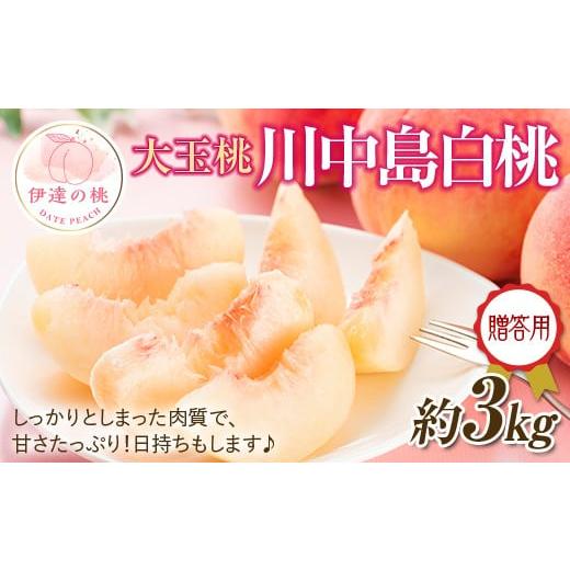 ふるさと納税 もも 福島県 伊達市 2026年出荷分先行予約 福島県産 川中島白桃 約3kg (約10玉) 一般社団法人つきだて振興公社 白桃 大玉 贈り物 贈答 ギフト …