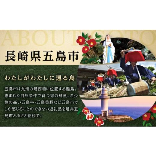 ふるさと納税 そば 生・半生めん 長崎県 五島市  全12回定期便 椿鯖そば （具だくさん 手打ちそば） 4人前 五島市／大河内商店 PAQ018_8
