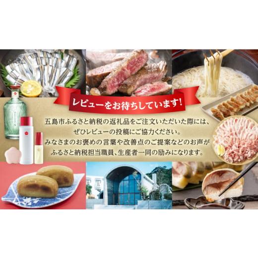 ふるさと納税 魚貝類 かまぼこ 長崎県 五島市  3回定期便 冷凍すりみセット （すり身2種／魚メンチ／いかの塩辛） 五島市／浜口水産 PAI014 かまぼこ すり身 …の画像