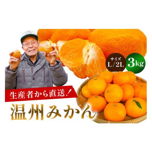 ふるさと納税 果物類 みかん 千葉県 南房総市 先行受付 2025年11月20日頃から順次発送 温州みかん 3kg サイズL又は2L mi0032-0001-2 果物 フルーツ 果実 み…