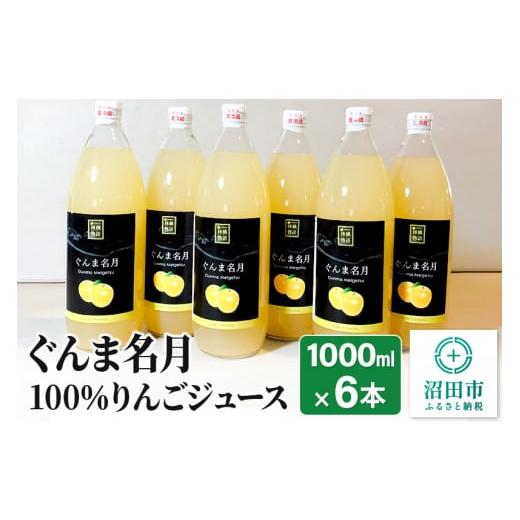 ふるさと納税 群馬県 沼田市 ぐんま名月100％りんごジュース 1000ml×6本｜furusatochoice｜02