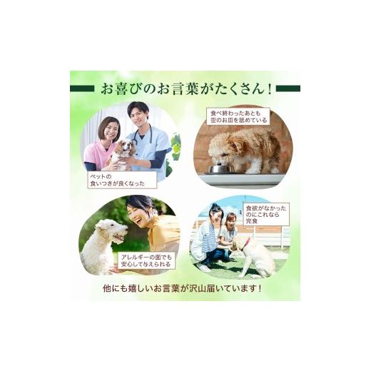 ふるさと納税 鹿肉 長野県 小諸市 小諸産 KomoroPremium 鹿肉ジャー足がかり（栄養分かばい立て食） 5袋（50g／袋） No.5915-0910
