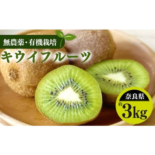 ふるさと納税 果物類 奈良県 五條市 生命の農法(無化学農薬・無化学肥料栽培)キウイフルーツ(約3kg)キウイ フルーツ キウイフルーツ | フルーツ くだも…