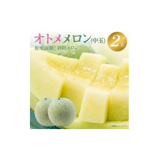 ふるさと納税 メロン メロン青肉 茨城県 鉾田市 メロン メロン 中玉 オトメメロン 緑肉 2玉入り(3〜5kg) ギフト 鉾田 果物 人気 おすすめ 贈答 茨城 お返し …