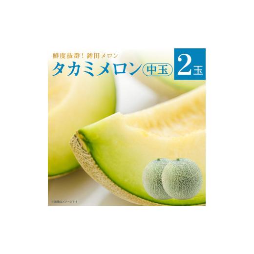 ふるさと納税 メロン メロン青肉 茨城県 鉾田市 メロン めろん 中玉 タカミメロン 緑肉 2玉入り(3kg〜5kg) ギフト 鉾田 果物 人気 おすすめ 贈答 茨城 お返し…