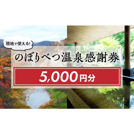 ふるさと納税 北海道 登別市 のぼりべつ温泉感謝券5,000円分 [チケット・温泉利用券・のぼりべつ温泉感謝券・日本の名湯・登別温泉・カルルス温泉・ホテル登…