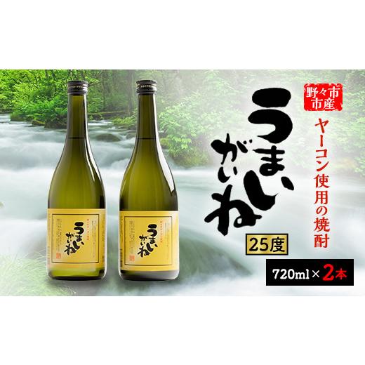 ふるさと納税 焼酎 石川県 野々市市 うまいがいね 720ml×2本 1206023