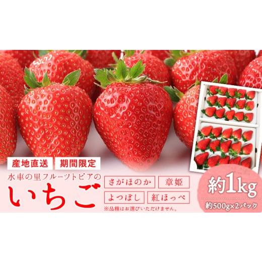 ふるさと納税 いちご 岡山県 矢掛町 47. 先行予約 やかげのいちごギフトセット(さがほのか・章姫・よつぼし・紅ほっぺ) 約1kg(約500g×2P)[2027年1月中旬-2月…