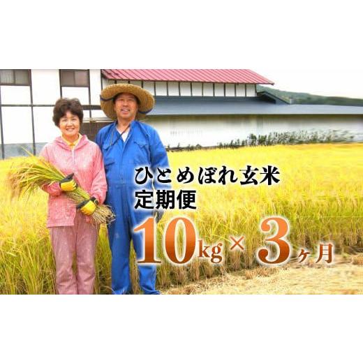 ふるさと納税 玄米 岩手県 花巻市 3ヶ月定期便 減農薬栽培 ひとめぼれ 玄米 10kg(5kgx2袋) 1111