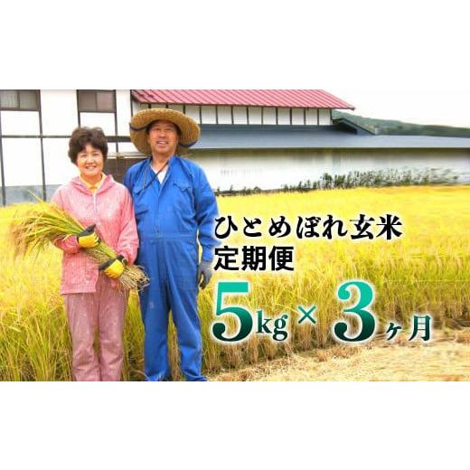 ふるさと納税 玄米 岩手県 花巻市 令和7年産 3ヶ月定期便 減農薬栽培 ひとめぼれ 玄米 5kg 1108
