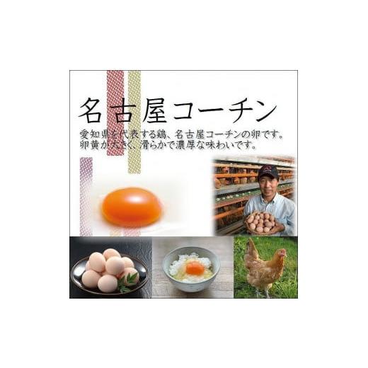 ふるさと納税 愛知県 大府市 業務用 日本三大地鶏!! 「純系 名古屋コーチンの卵」(90個) 本当に美味しい食べ物は調味料の味に負けません!