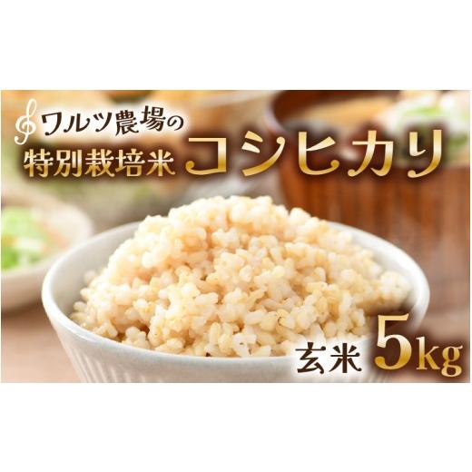 ふるさと納税 米 コシヒカリ 福井県 あわら市 先行予約 令和8年産 新米 ワルツ農場のコシヒカリ 玄米 5kg 特別栽培米 納得の美味しさ 減農薬 有機肥料使用 /…