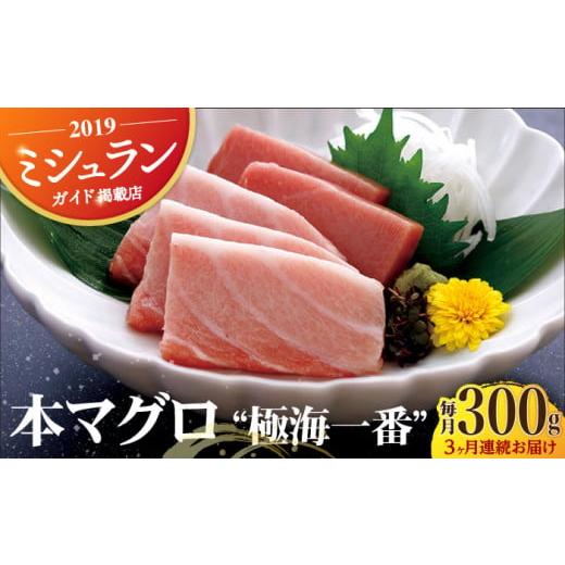 ふるさと納税 長崎県 平戸市 [全3回定期便]本マグロ 極海一番 計900g (約300g×3回) 平戸市 / 囲炉裏料理 エビス亭 