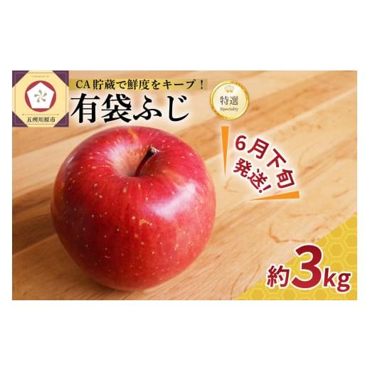 ふるさと納税 青森県 五所川原市 [2024年6月下旬発送]りんご有袋ふじ3kg特選(スマートフレッシュTM貯蔵またはCA貯蔵・クール便) 6月下旬発送(21〜末日)