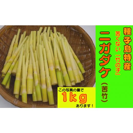 ふるさと納税 野菜類 山菜 鹿児島県 西之表市  5月〜6月 先行予約 種子島 産 ニガダケ 4kg NFN407 675pt 筍 美味しい タケノコ 春 特産品 特産 甘い 味噌汁 …の画像