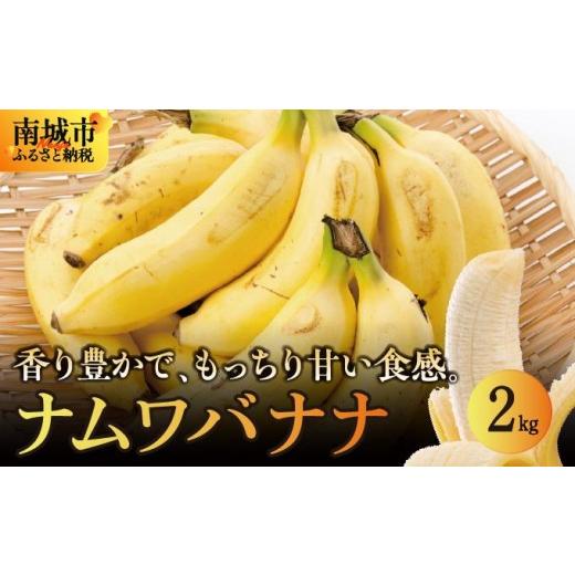 ふるさと納税 果物類 沖縄県 南城市 バナナ 南城市 ナムワバナナ 2kg I バナナ 国産フルーツ 2000g 2kg 沖縄県 南城市 2kg