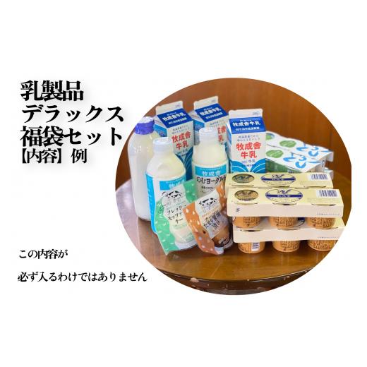 ふるさと納税 岐阜県 高山市 乳製品 福袋　デラックスセット 乳製品 ヨーグルト 牛乳 種類おまかせ セット 詰合せ  牧成舎 TR3753｜furusatochoice｜03