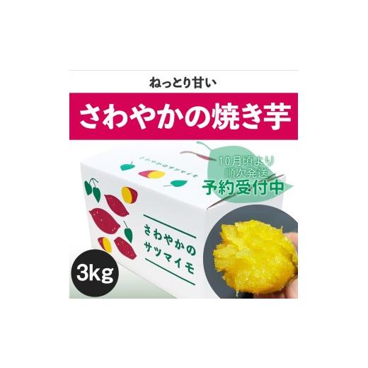 ふるさと納税 野菜類 サツマイモ 徳島県 鳴門市  予約受付中・2026年10月頃より順次発送 さわやかの焼き芋 3kg 鳴門 さつまいも スイーツ 焼き芋 熟成 甘い …の画像