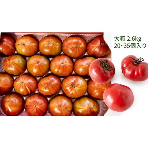 ふるさと納税 野菜類 トマト 茨城県 桜川市 《 2027年 収穫分 》 訳
