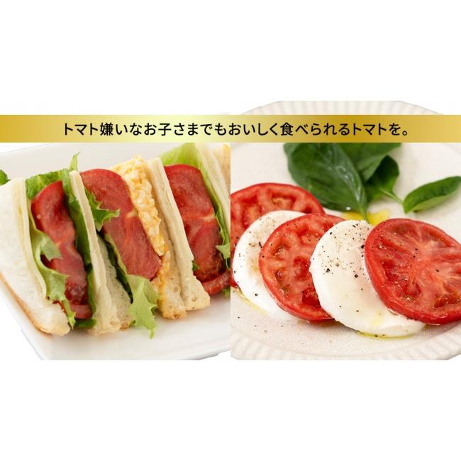 ふるさと納税 野菜類 トマト 茨城県 桜川市 《 2027年 収穫分 》 訳