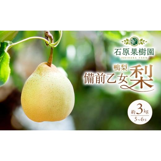 ふるさと納税 梨 岡山県 瀬戸内市 梨 2026年 先行予約 備前乙女梨（鴨梨） 5〜6玉 合計約3kg 11月下旬〜12月中旬頃発送 ナシ なし 岡山県産 国産 フルーツ 果…の画像