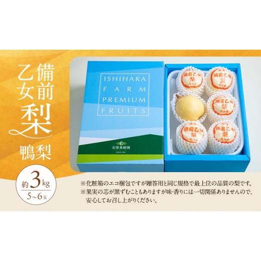 ふるさと納税 梨 岡山県 瀬戸内市 梨 2026年 先行予約 備前乙女梨（鴨梨） 5〜6玉 合計約3kg 11月下旬〜12月中旬頃発送 ナシ なし 岡山県産 国産 フルーツ 果…の画像