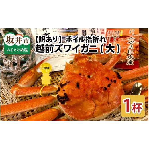 ふるさと納税 カニ ずわいガニ 福井県 坂井市 先行予約 名人が茹でる 指折れ訳あり越前がに(大)1杯 1kg前後 やまに仕込み 2月発送分 K-4303_02 2月発送分