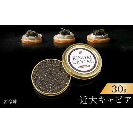 ふるさと納税 缶詰・瓶詰 和歌山県 九度山町 近大キャビア30g [KD9]