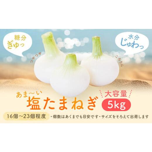 ふるさと納税 野菜類 玉ねぎ 鹿児島県 薩摩川内市 AS-015 先行予約 湯田口海岸産 塩玉ねぎ 約5kg (3月以降順次発送)