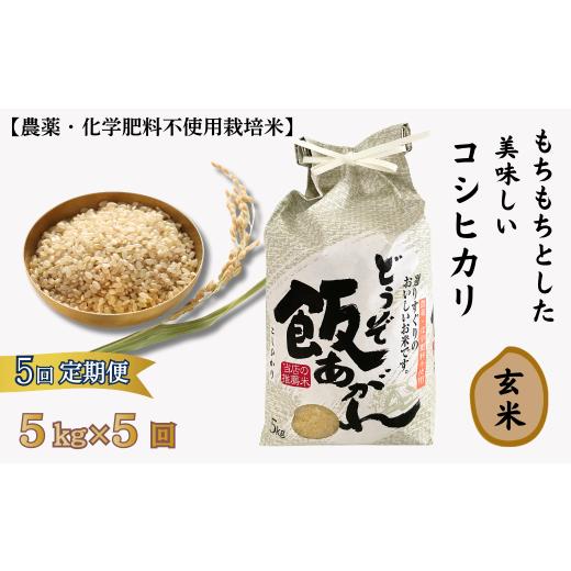 ふるさと納税 玄米 佐賀県 佐賀市 定期便5回 もちもちとした美味しいコシヒカリ玄米 農薬・化学肥料不使用栽培米 5kg×5回(計25kg):C111-010