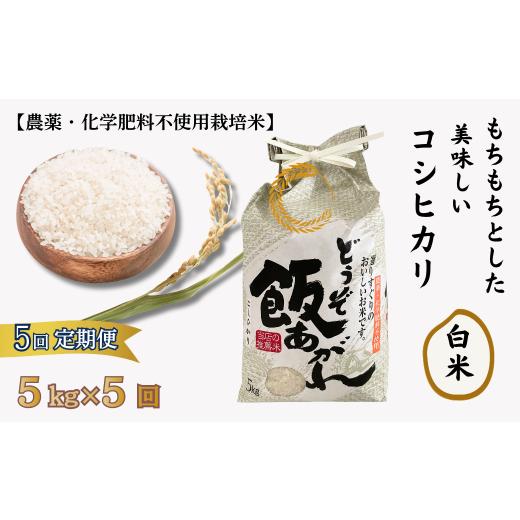 ふるさと納税 米 コシヒカリ 佐賀県 佐賀市 定期便5回 もちもちとした美味しいコシヒカリ 白米 農薬・化学肥料不使用栽培米 5kg×5回(計25kg):C111-011