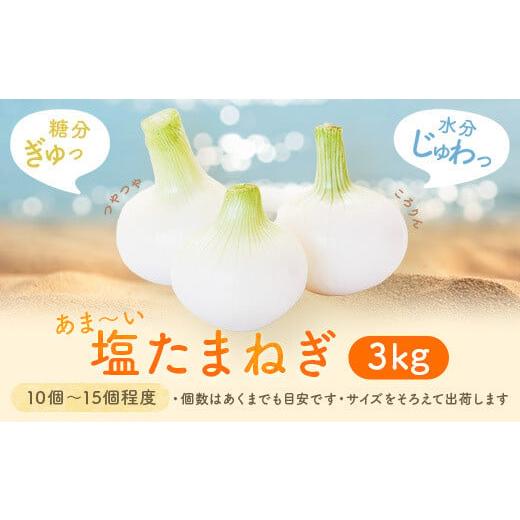 ふるさと納税 野菜類 玉ねぎ 鹿児島県 薩摩川内市 ZS-702 先行予約 湯田口海岸産 塩玉ねぎ 約3kg (3月以降順次発送)