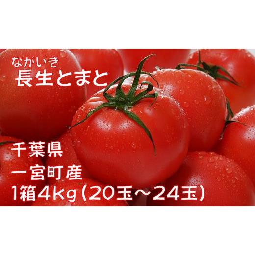 ふるさと納税 野菜類 トマト 千葉県 一宮町 長生(ながいき)とまと1箱(20〜24個(約4kg))一宮町産 トマト