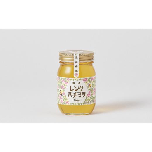 ふるさと納税 加工品等 はちみつ 福岡県 飯塚市 レンゲハチミツ 500g×2 B9-008 瓶入り 国産 蜂蜜 はちみつ レンゲ蜂蜜 自然由来 非常食 デザートの画像