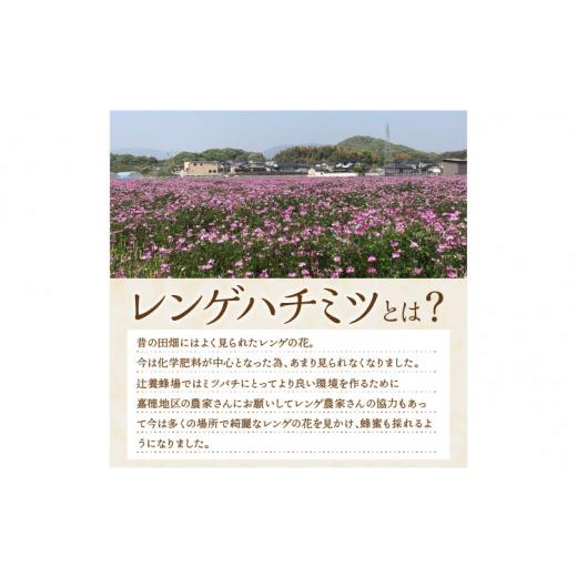 ふるさと納税 加工品等 はちみつ 福岡県 飯塚市 レンゲハチミツ 500g×2 B9-008 瓶入り 国産 蜂蜜 はちみつ レンゲ蜂蜜 自然由来 非常食 デザートの画像