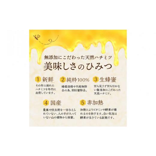 ふるさと納税 加工品等 はちみつ 福岡県 飯塚市 レンゲハチミツ 500g×2 B9-008 瓶入り 国産 蜂蜜 はちみつ レンゲ蜂蜜 自然由来 非常食 デザートの画像