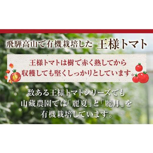 ふるさと納税 野菜類 トマト 岐阜県 高山市  2026年夏 先行予約 （7月下旬から順次発送予定）飛騨高山産 有機トマト「王様トマト」2kg | 大玉トマト とまと 麗…_2