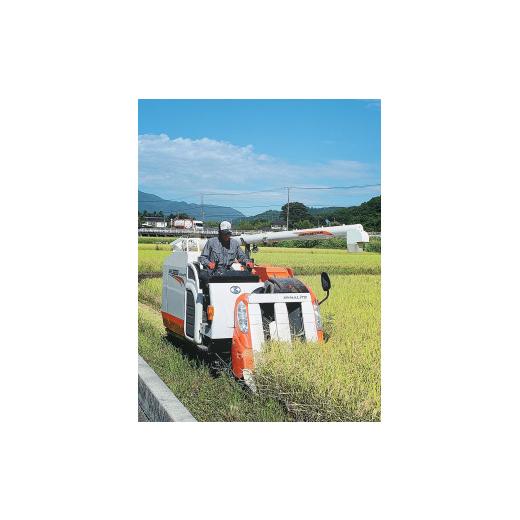 ふるさと納税 米 山梨県 北杜市  令和7年度米 武川米農林48号 25kgの画像
