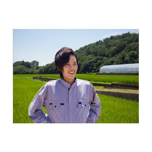 ふるさと納税 米 山梨県 北杜市  令和7年度米 武川米農林48号 25kgの画像