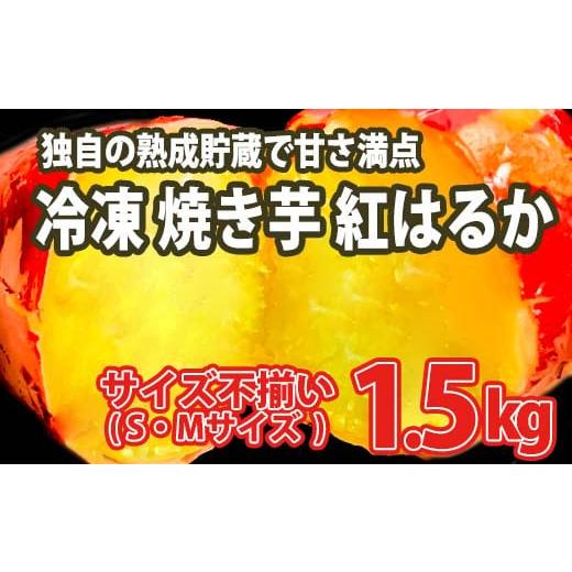 ふるさと納税 茨城県 境町 K1947 【数量限定】サイズ不揃い さつまいも 熟成 紅はるか 冷凍 焼き芋 1.5kg｜furusatochoice｜02